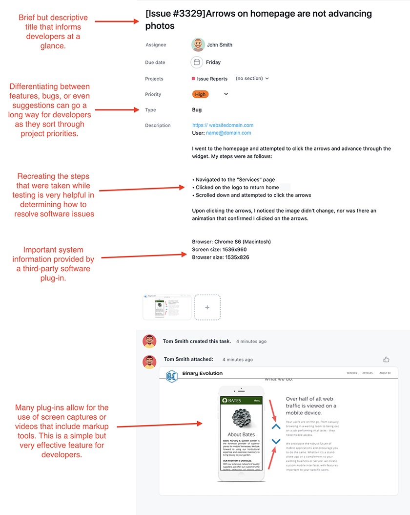 binaryevolution.com's anatomy of an issue report graphic